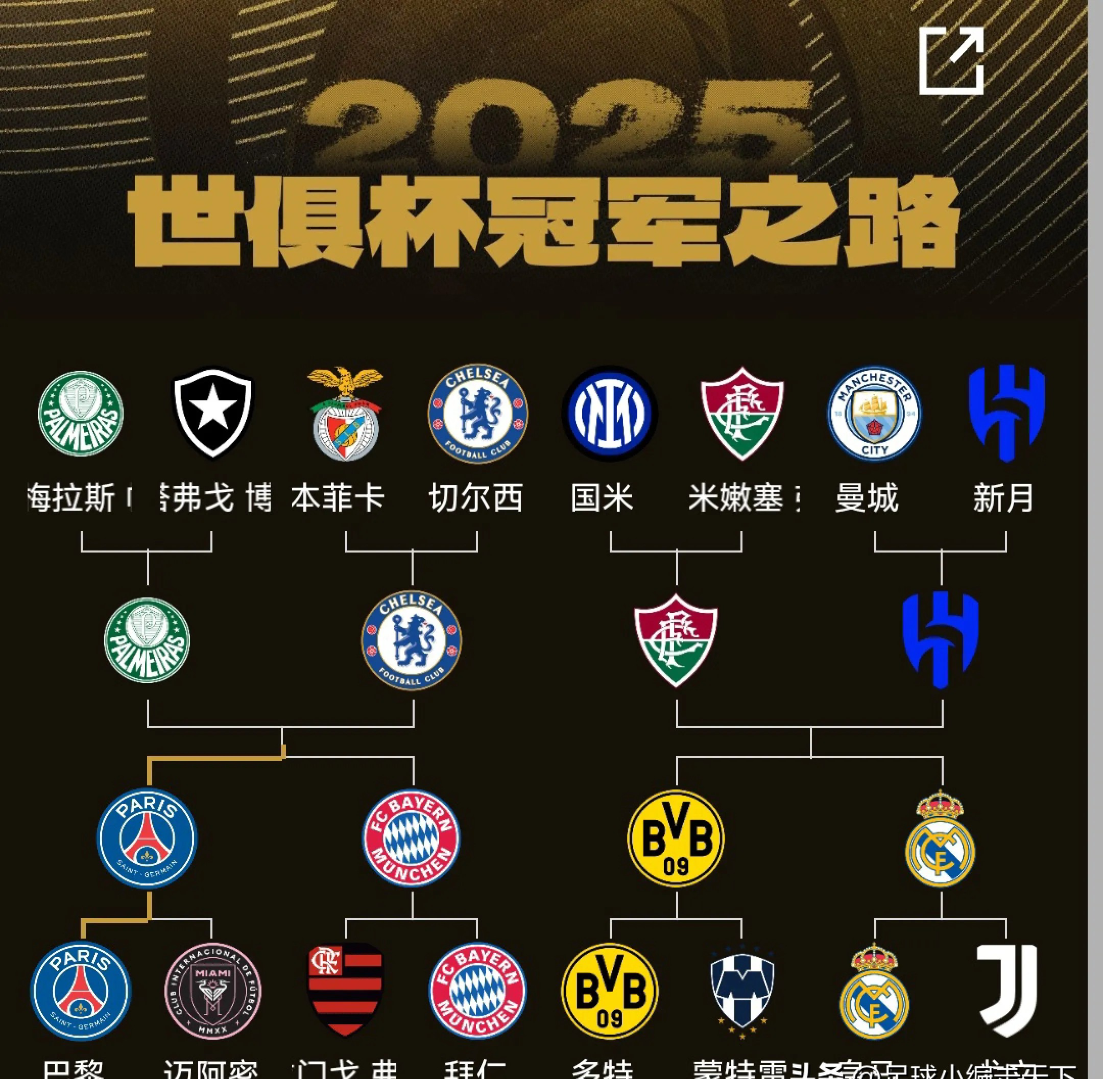 包含世界杯总决赛即将打响，冠军归属成谜的词条