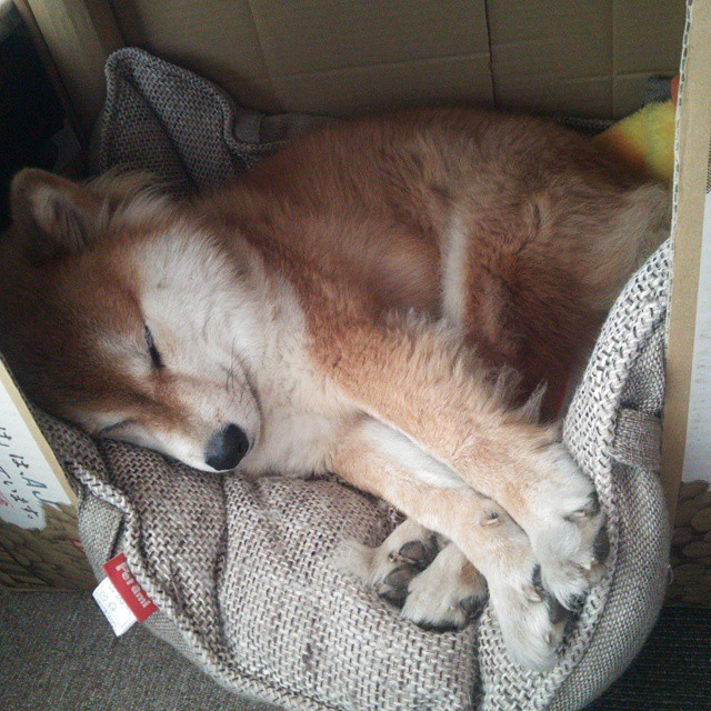 开云sport-传奇与机器，莫德里奇的绝唱与德国战车的轰鸣