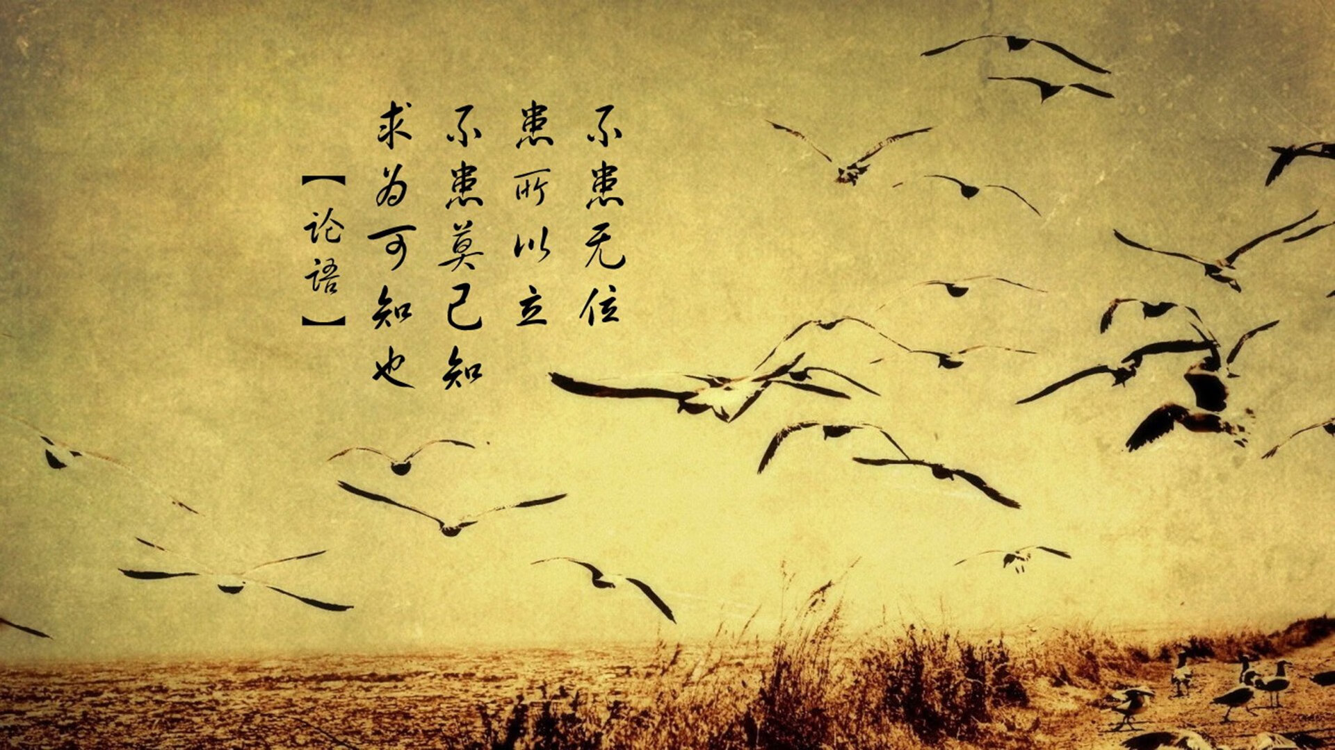 传奇与机器，莫德里奇的绝唱与德国战车的轰鸣