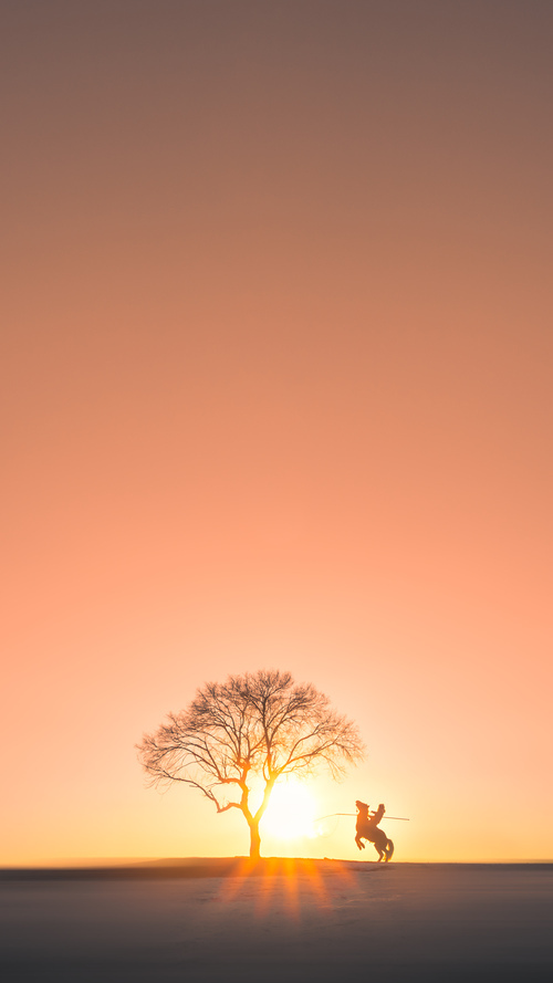 冰与火的对决,步行者撕裂北京铁血阵,武切维奇化身破局关键先生