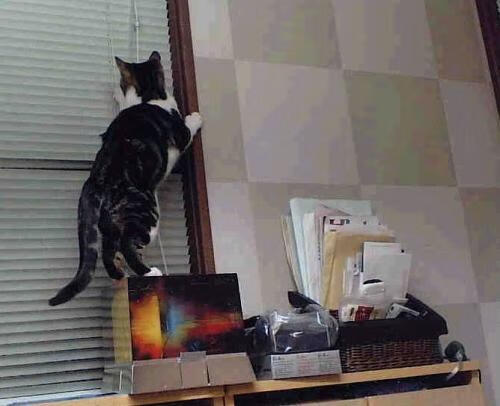 开云体育登录-接管的艺术，从墨西哥的团队浪潮到莱万的个人时刻