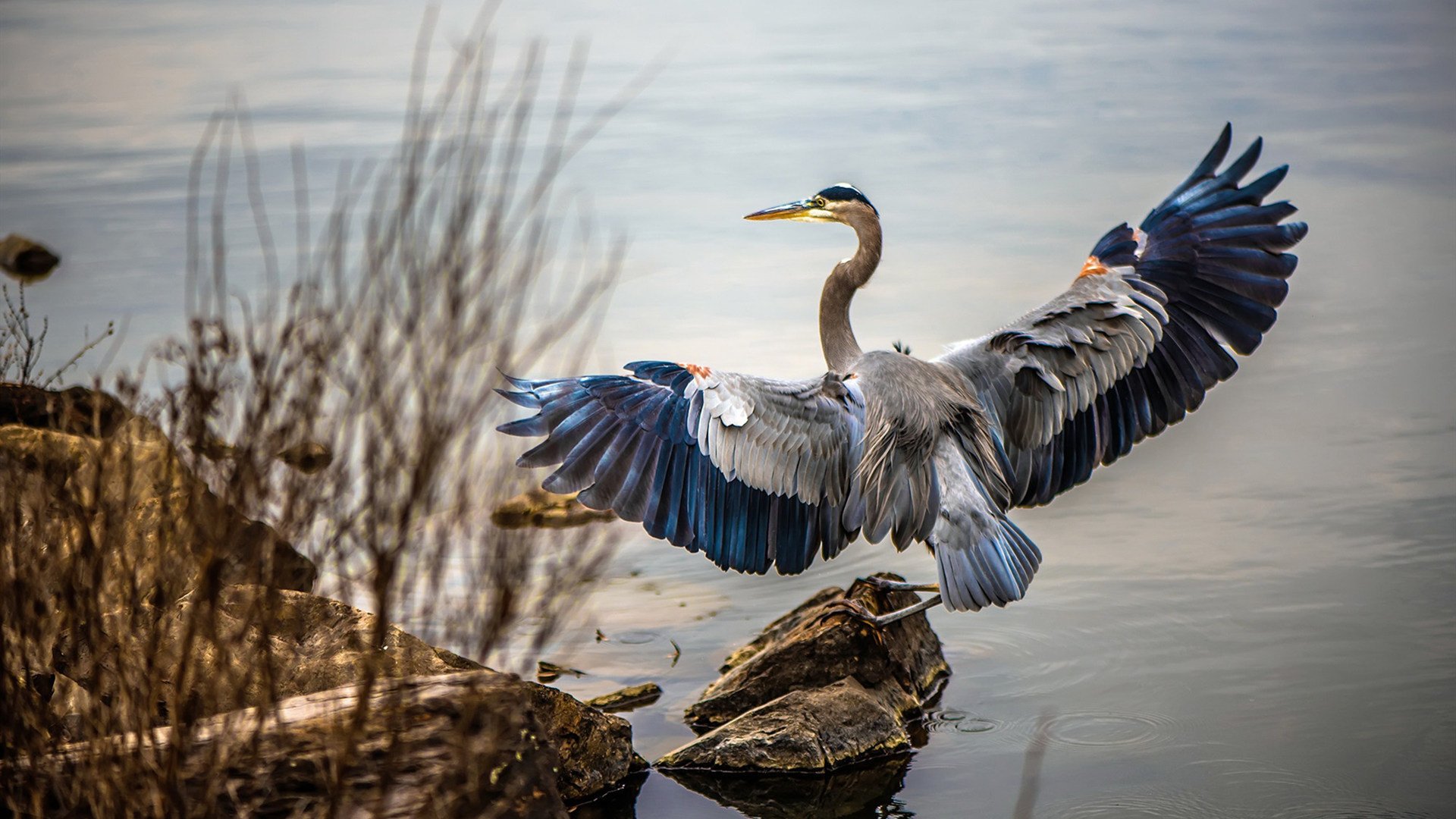 开云体育中国-双城记，当摩纳哥遇见波兰，哈兰德化身雷神降世