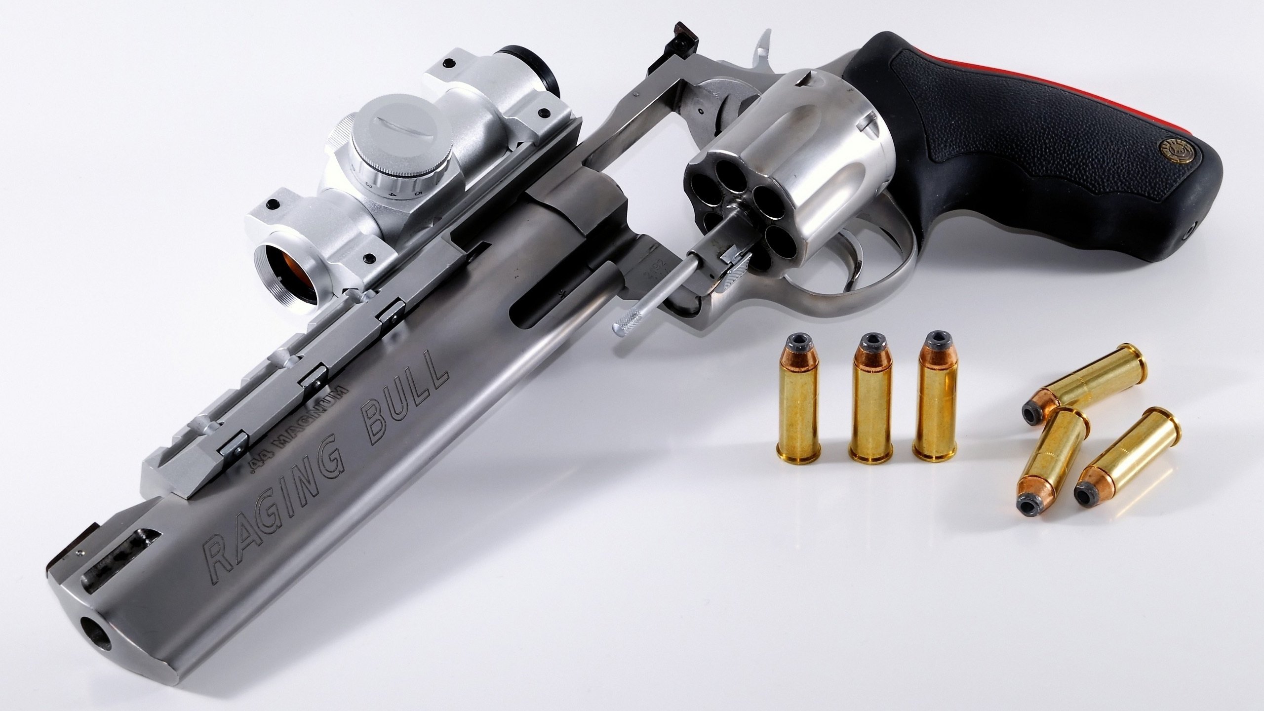 体育的参考答案