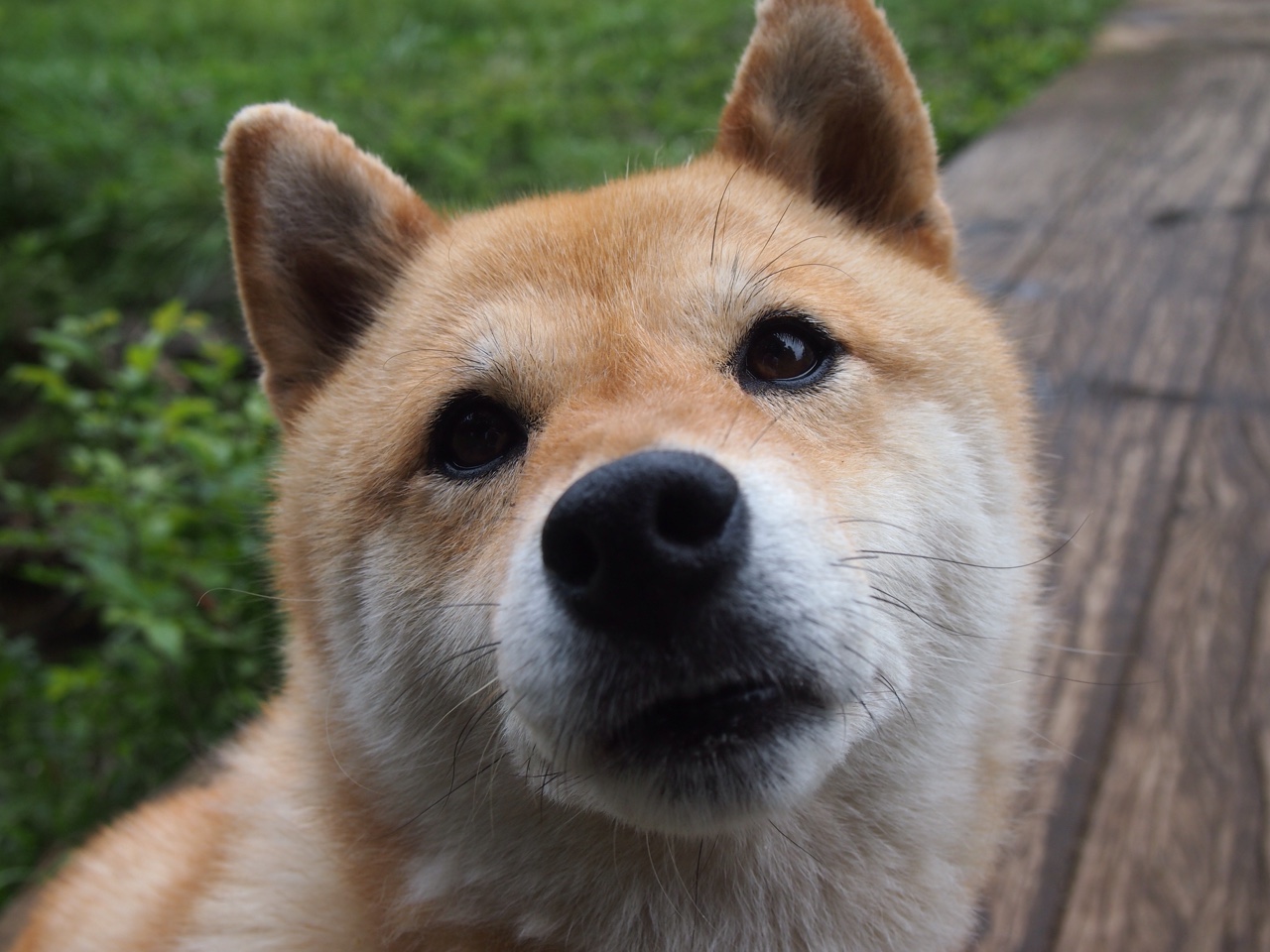 齿轮与猎枪，当团队凯尔特人遇见个体克莱，一场现代篮球的隐喻