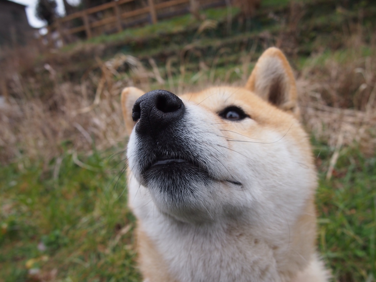 开云体育登录-当高压逼抢遇见南美探戈，阿森纳以算术级防守肢解秘鲁式流畅