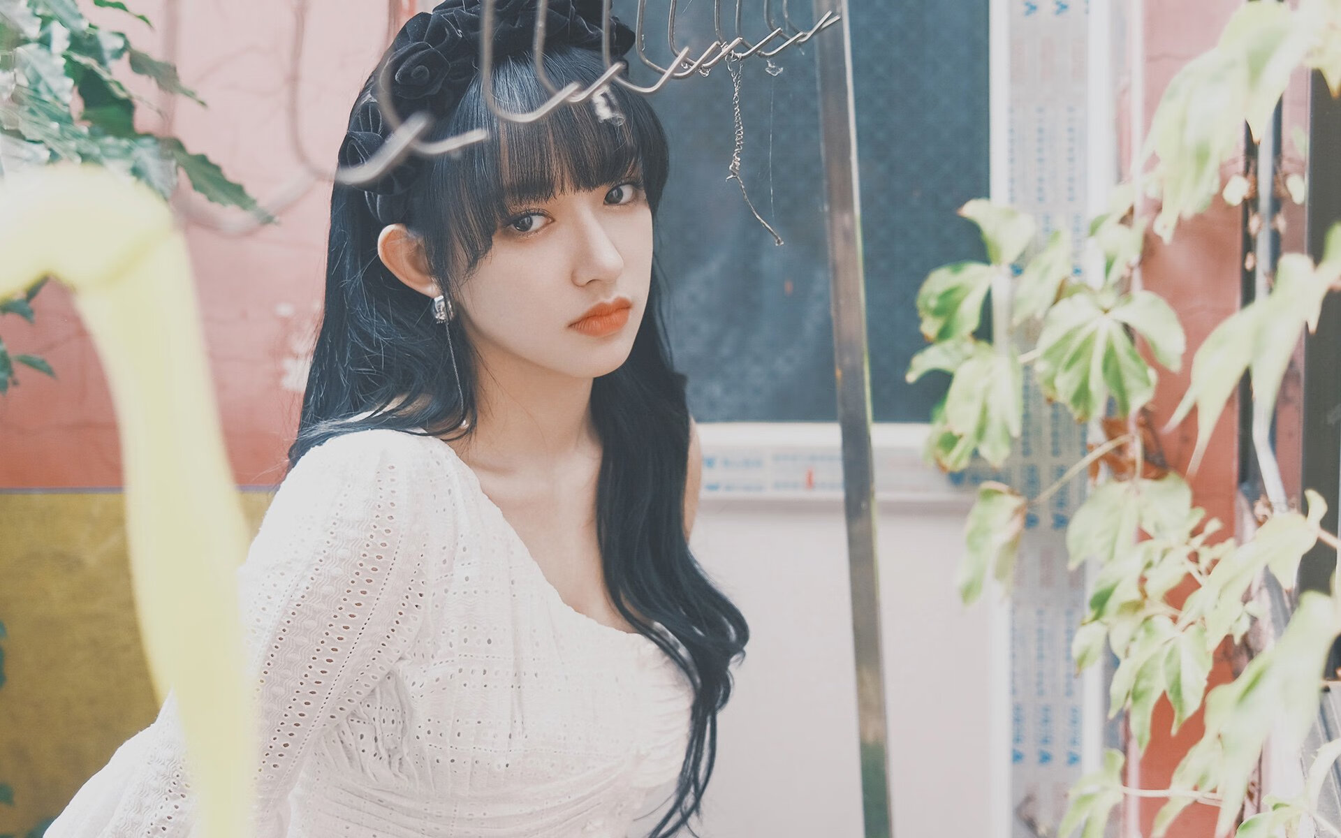 努涅斯，那刺破紫百合夜空的唯一闪电