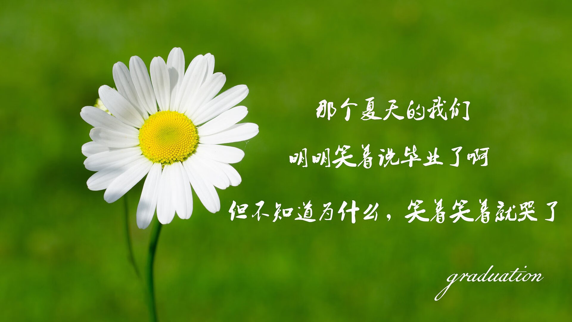 开云体育登录-唯一的历史重演，2026世界杯，斯洛伐克的梅西绝杀摩洛哥