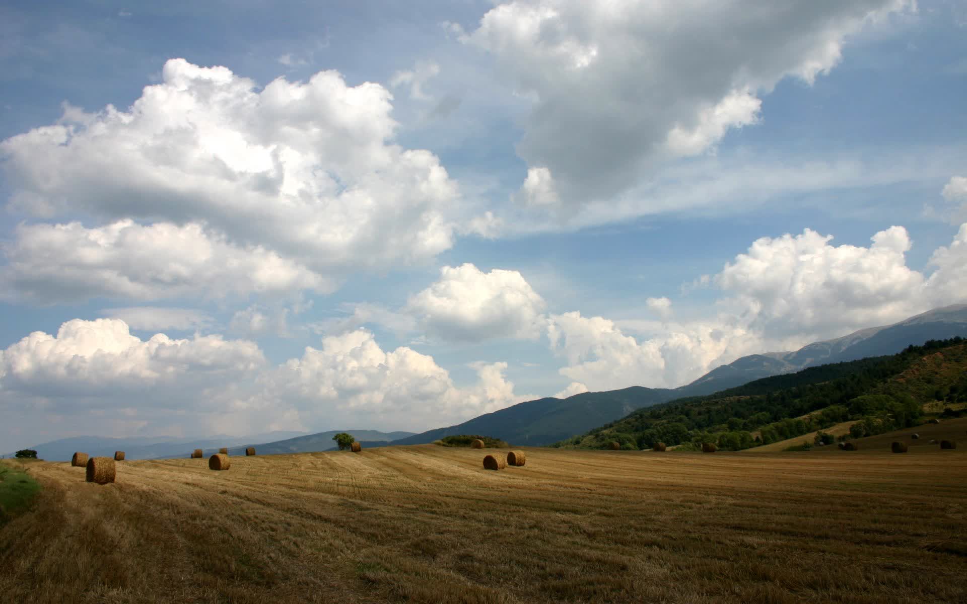 开云体育入口-枫叶闪电划破大漠，阿方索·戴维斯如何用非典型身份，引爆2026世界杯E组最诡异的战局